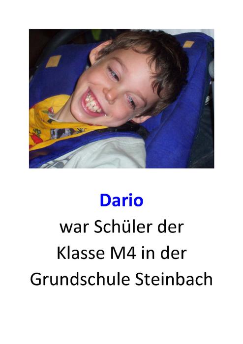 Dario_Seite_01.jpg
